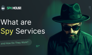 Spy.House is a spy service for analyzing and searching for advertising creatives in TikTok, Facebook, Push, and Inpage formats